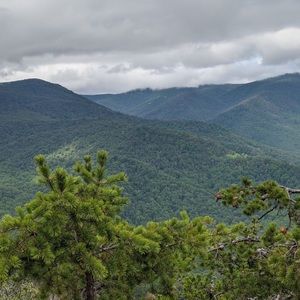 Meet your Posher, Holly